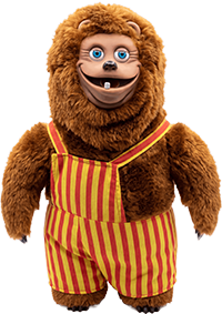 Bob Doll